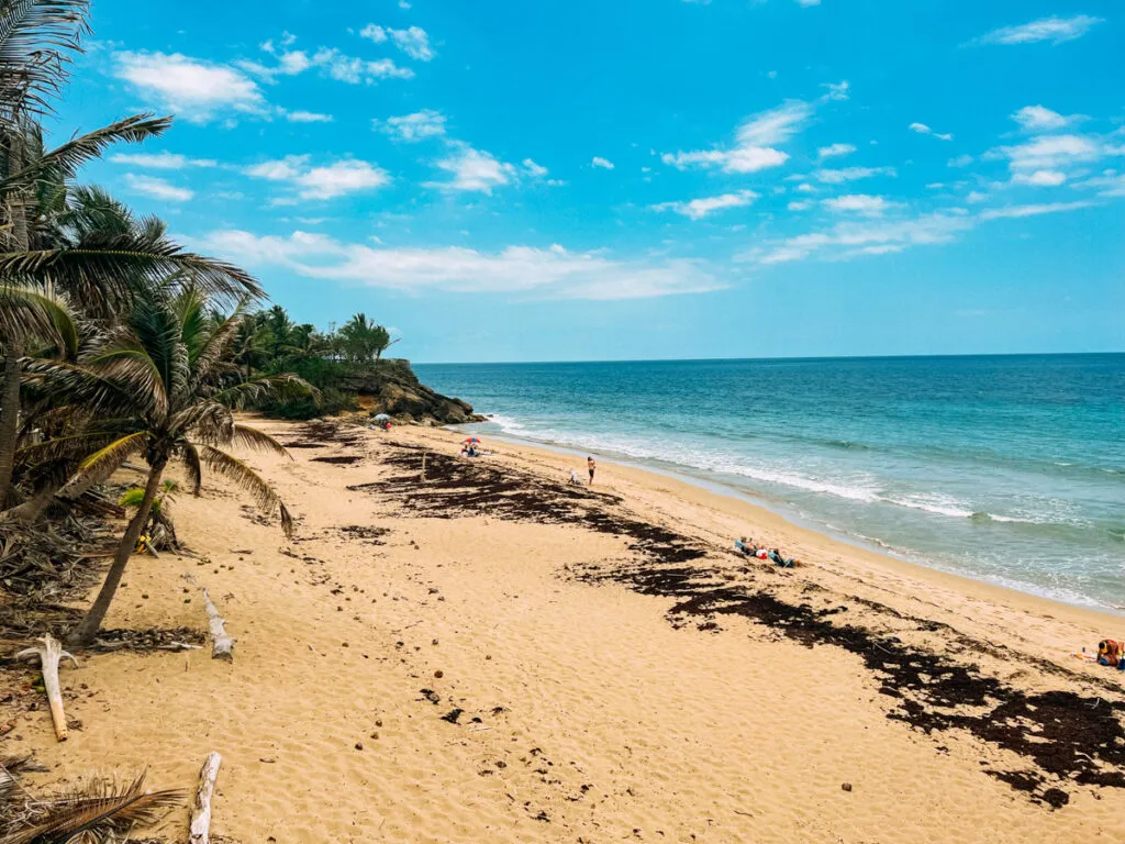 8100 puerto rico luxury resort
