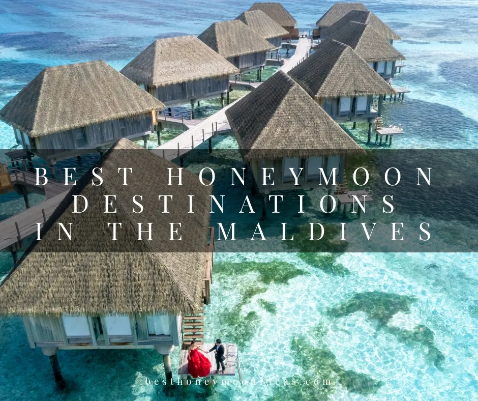 8102 maldives honeymoon overview