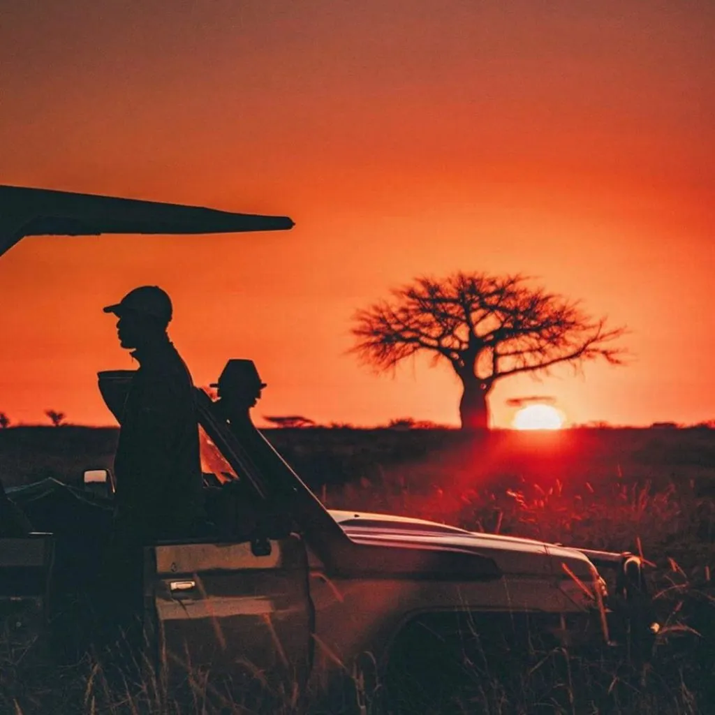 8106 serengeti sunset