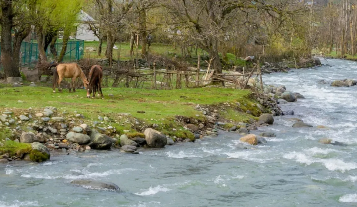 /img/8115-kashmir-photography-memories.webp
