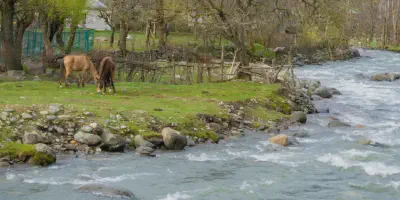 /img/8115-kashmir-photography-memories.webp