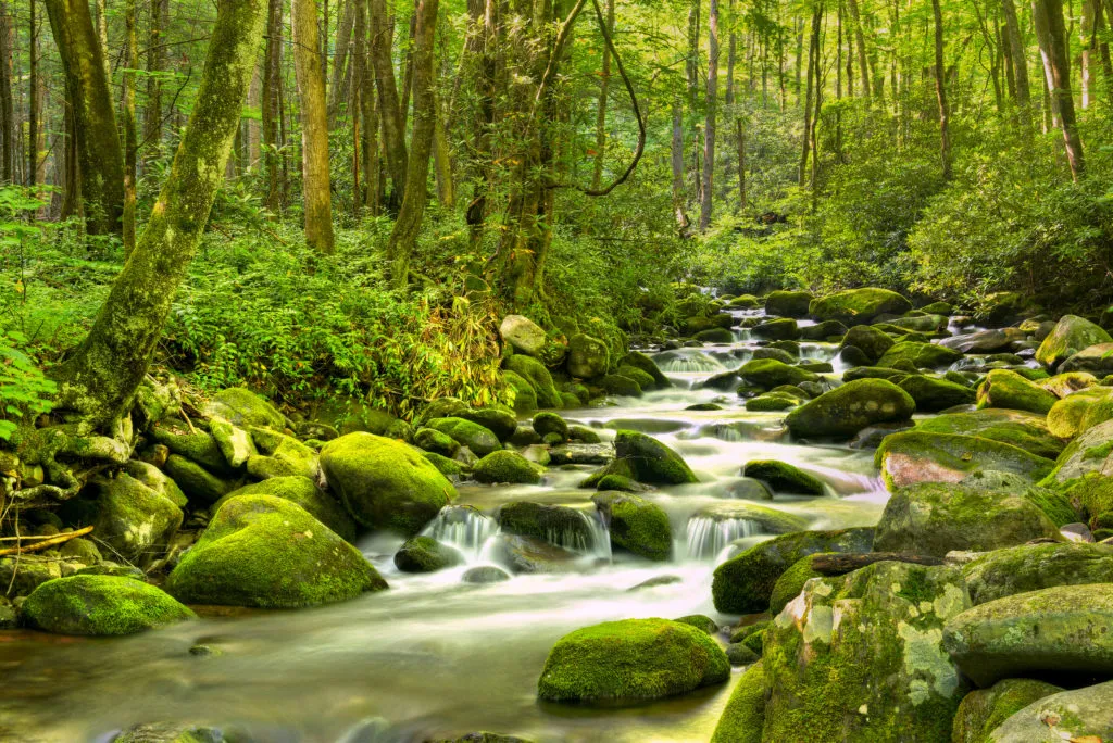 /img/8116-tennessee-spa-retreat.webp