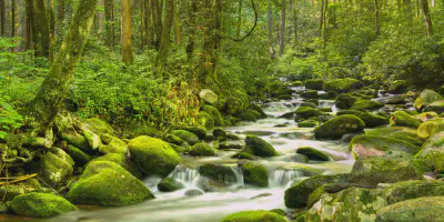 /img/8116-tennessee-spa-retreat.webp