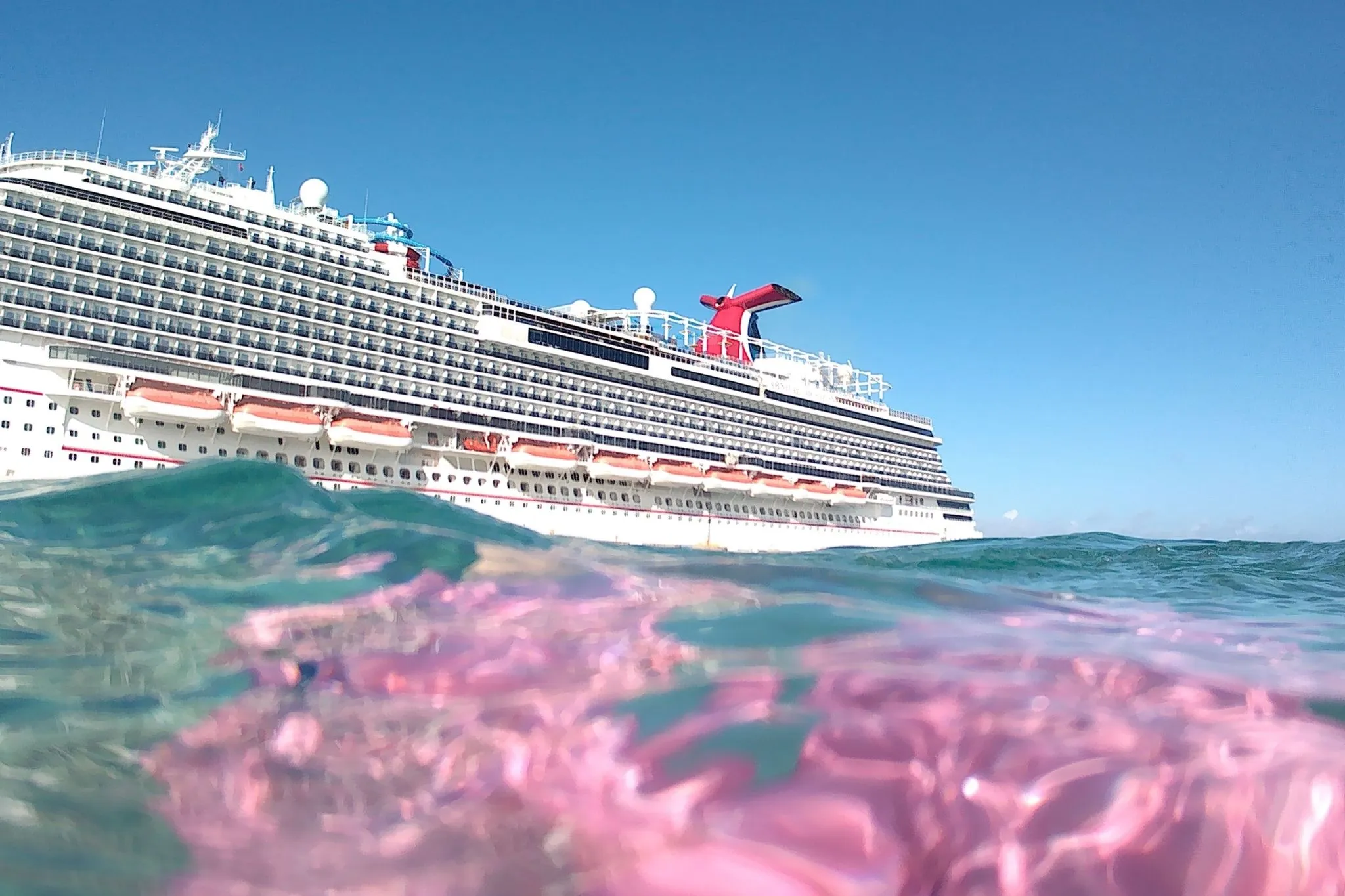 8117 caribbean cruise honeymoon