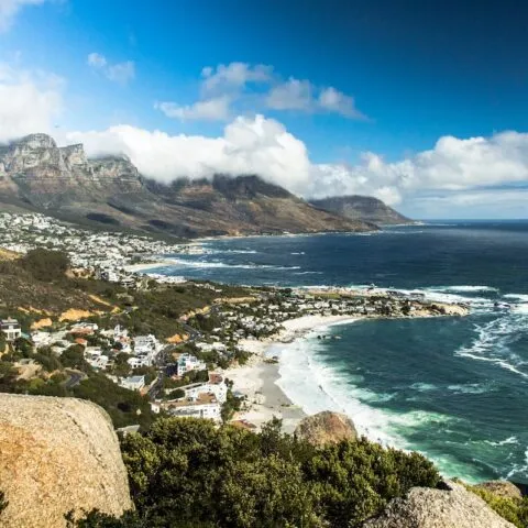 8118 kirstenbosch garden